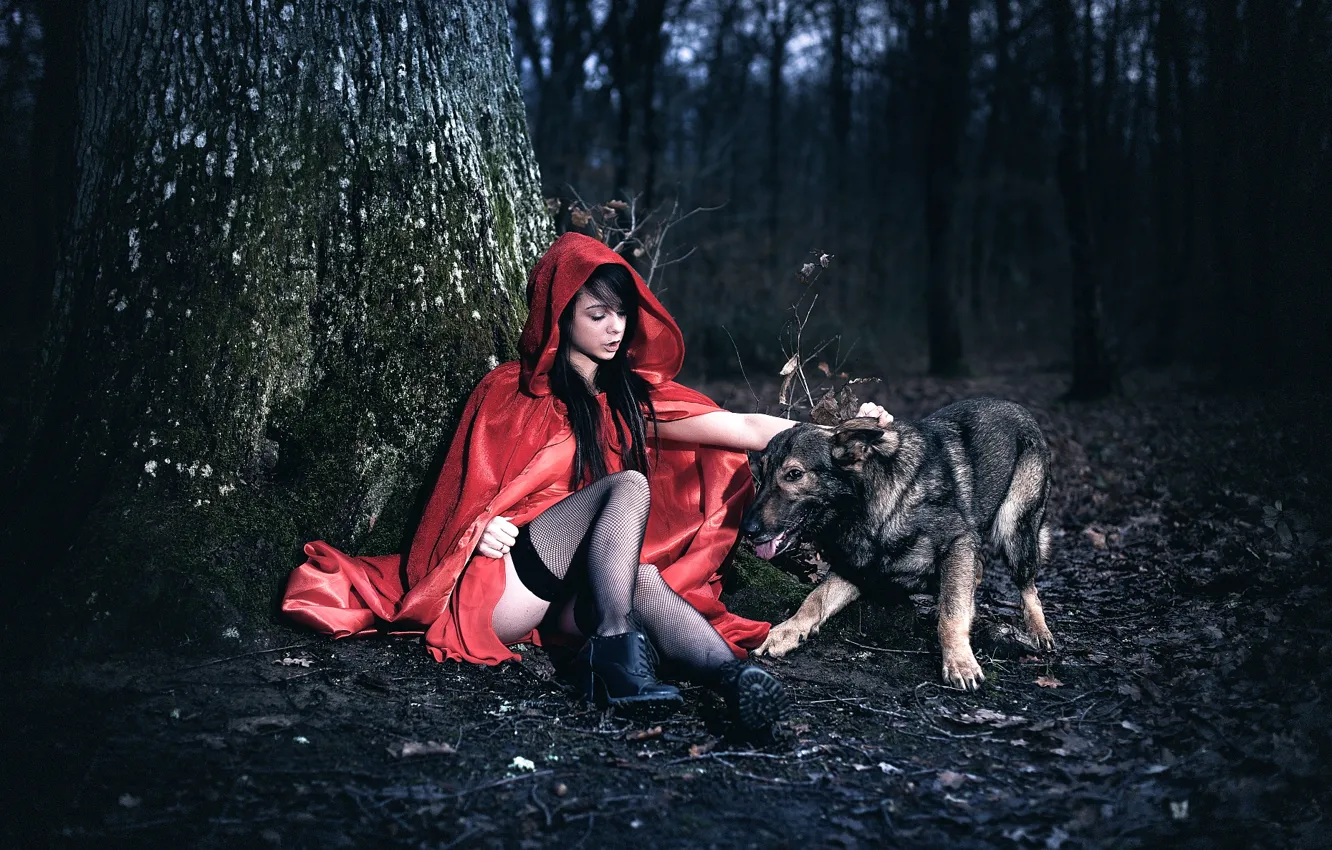 Фото обои лес, девушка, дерево, собака, ножки, плащ, Arya, Laurent KC