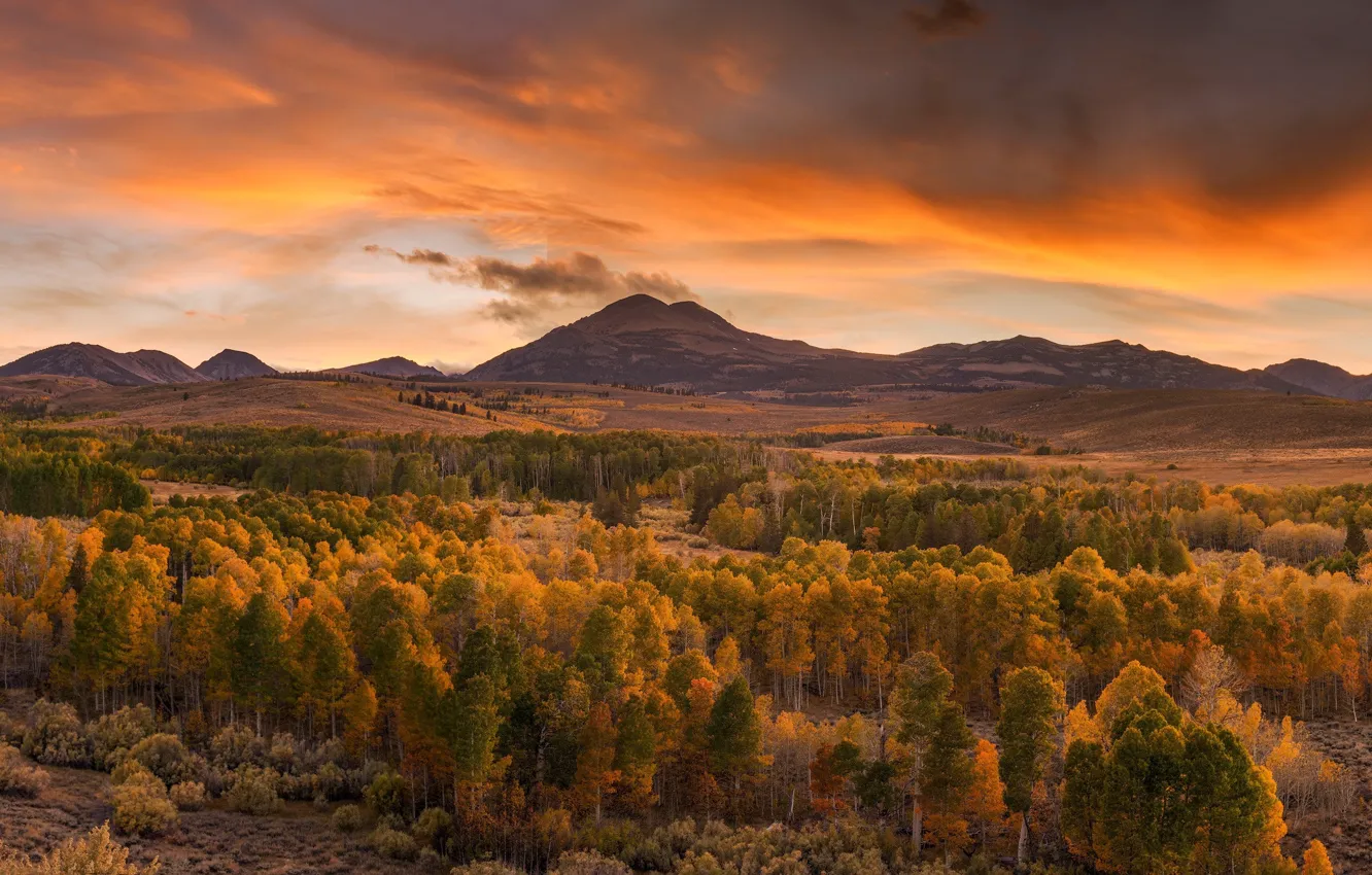 Фото обои осень, лес, пейзаж, закат, горы, природа, красота, вечер