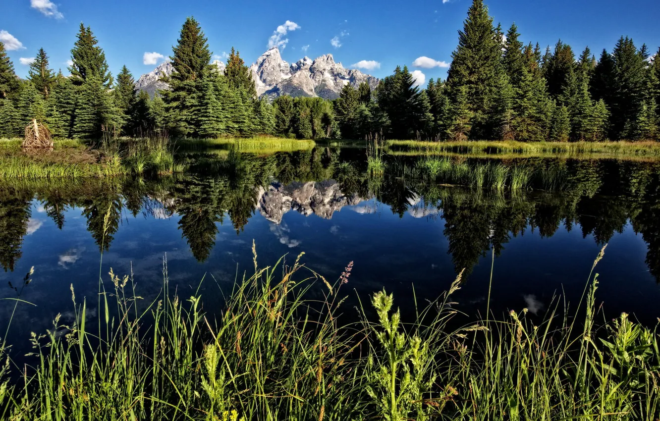 Фото обои лес, горы, озеро, Wyoming, Teton National Park