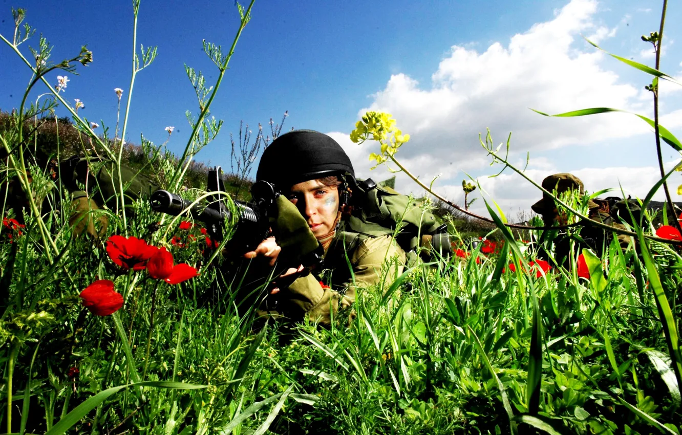 Фото обои небо, трава, девушка, облака, цветы, оружие, маки, солдат