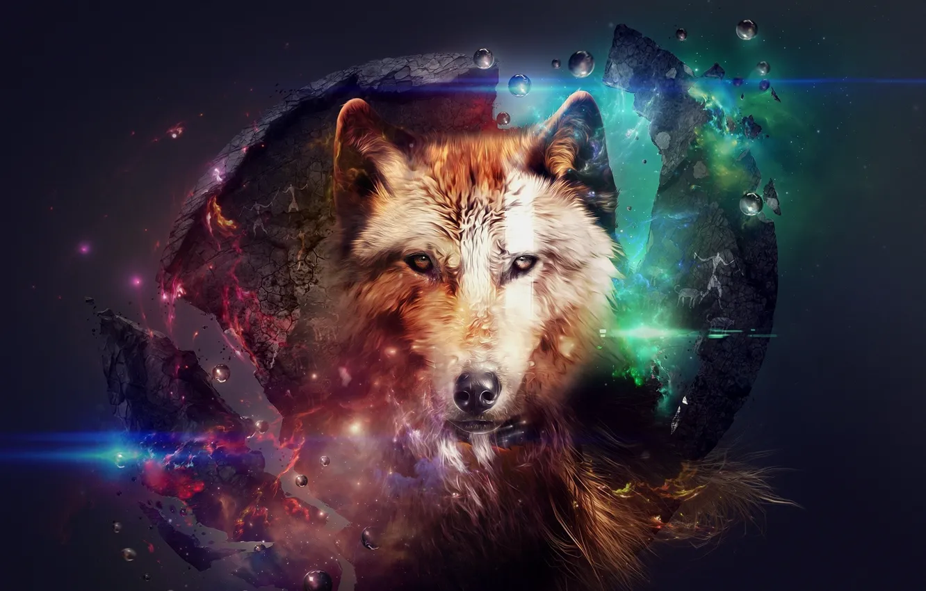 Фото обои космос, шар, волки