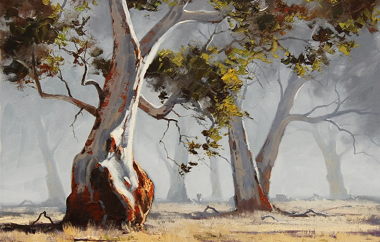 Фото обои деревья, природа, арт, солнечно, artsaus, eucalyptus tree