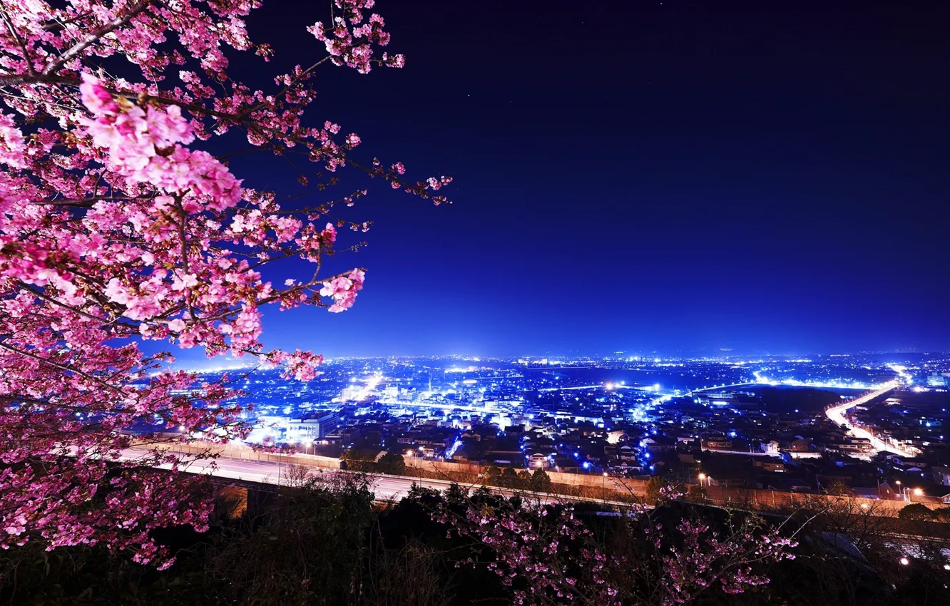 Фото обои ночь, огни, здания, Cherry Blossoms