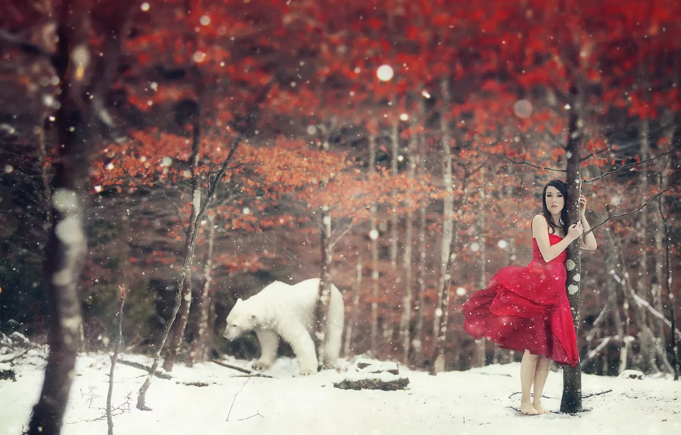 Фото обои зима, девушка, ситуация, медведь