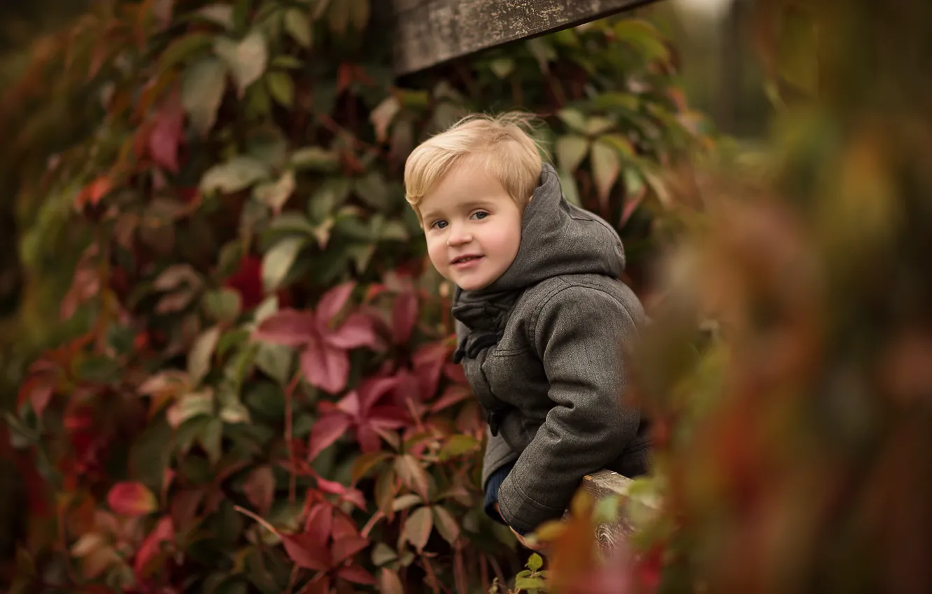 Фото обои осень, листья, природа, доски, забор, мальчик, куртка, капюшон