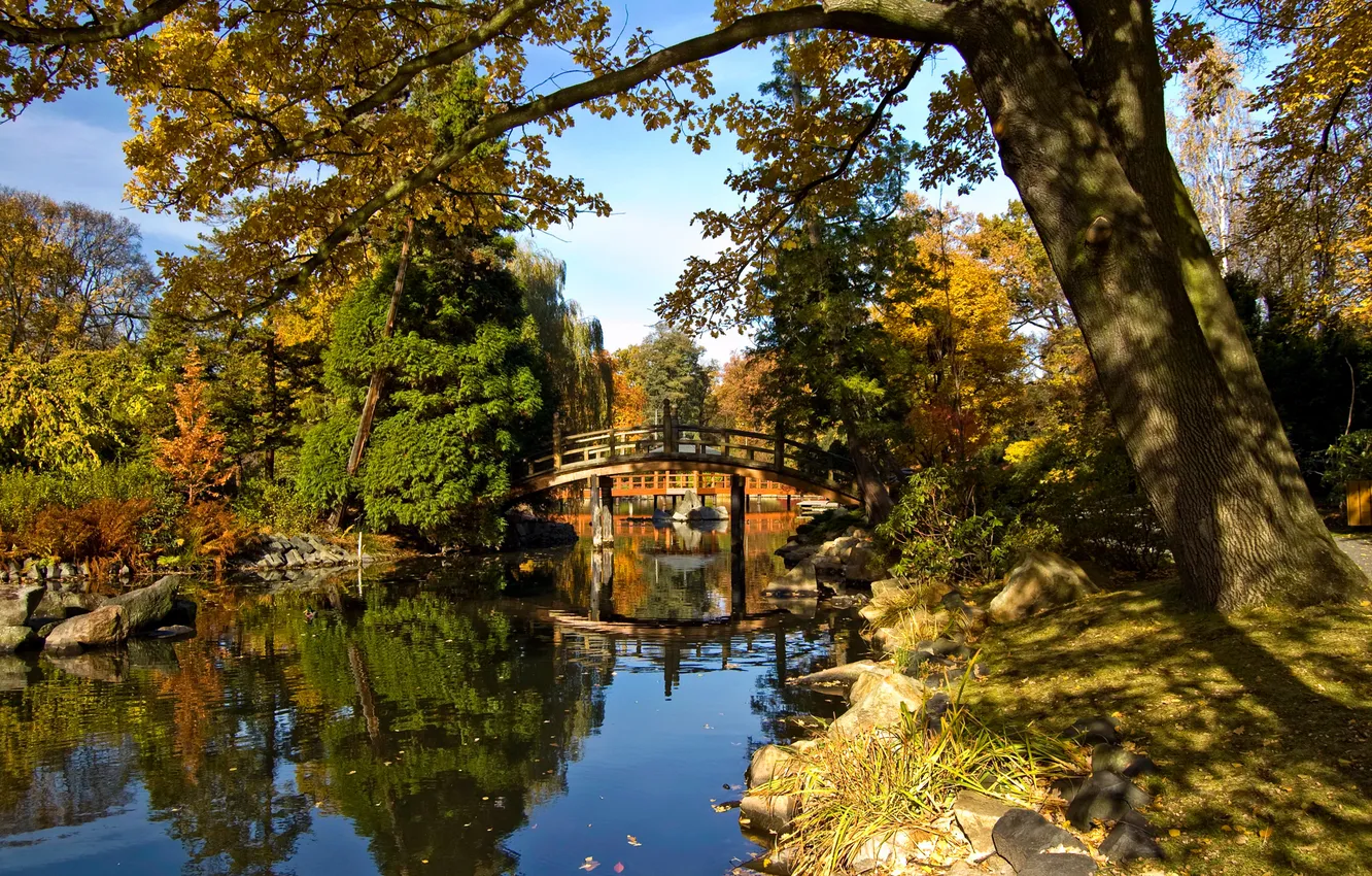 Фото обои осень, небо, деревья, мост, пруд, парк