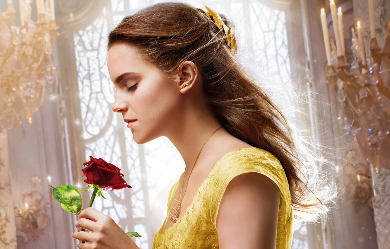 Фото обои cinema, girl, love, rose, Disney, Emma Watson, flower, monster