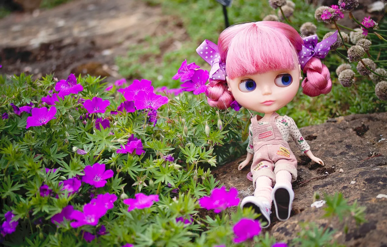 Фото обои взгляд, цветы, камень, игрушка, кукла, сидит, розовые волосы