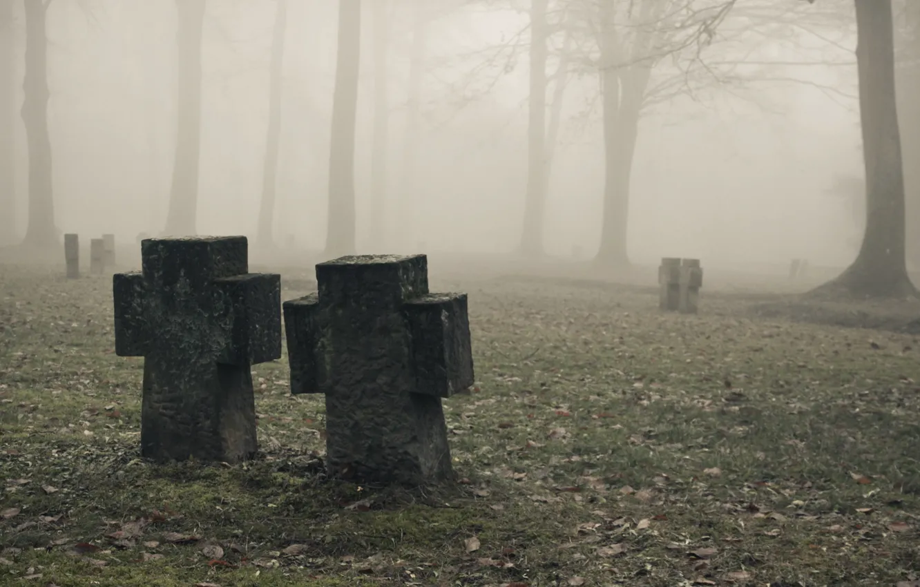 Фото обои Mist, Fog, Nebel, Cemetery, надгробные камни