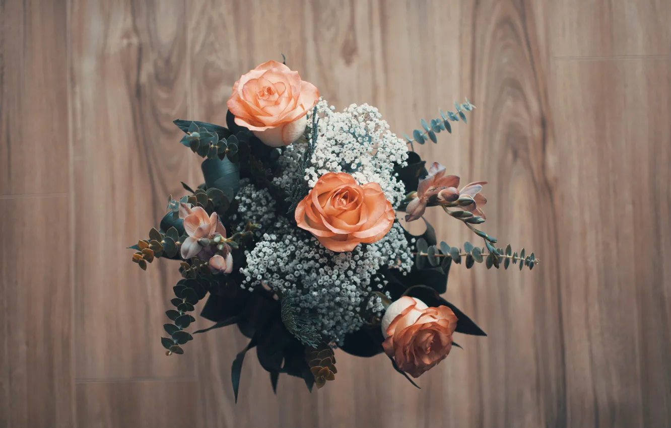 Фото обои цветы, роза, розы, композиция