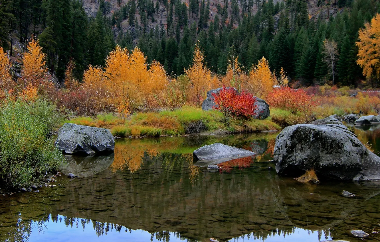 Фото обои осень, горы, озеро, кусты