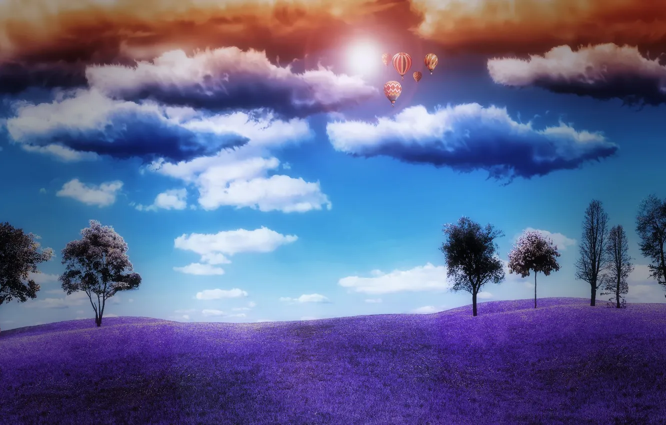 Фото обои поле, небо, солнце, облака, деревья, природа, воздушные шары, горизонт