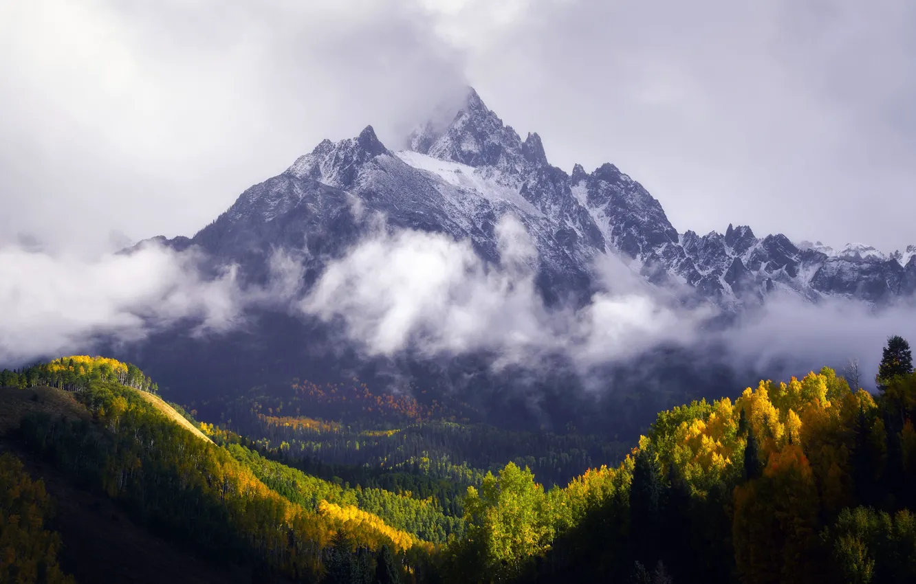 Фото обои осень, лес, горы, гора