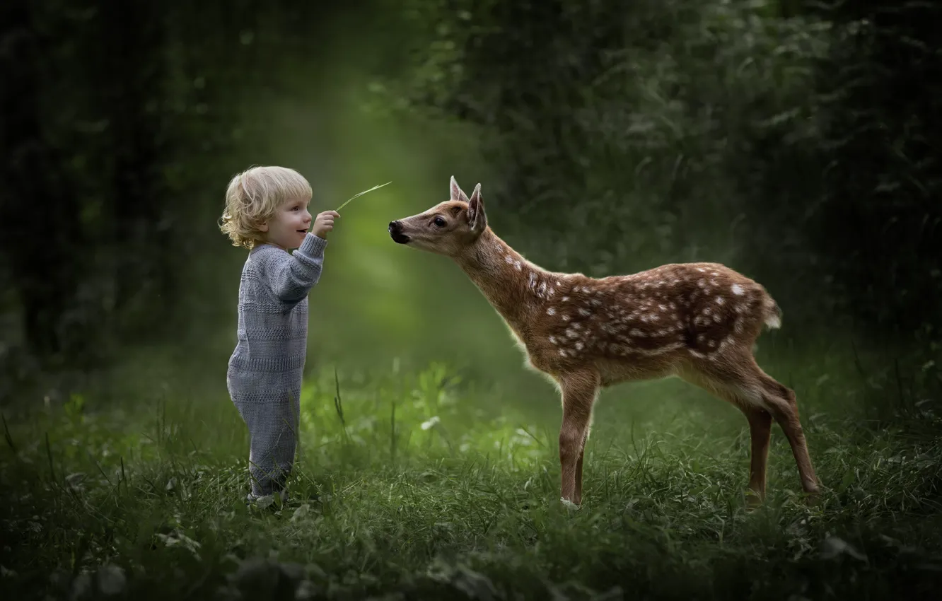 Фото обои природа, ребенок, мальчик, олень, милый, друзья
