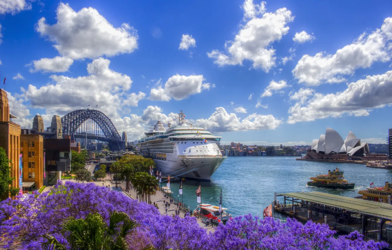 Фото обои вода, цветы, Австралия, Сидней, лайнер