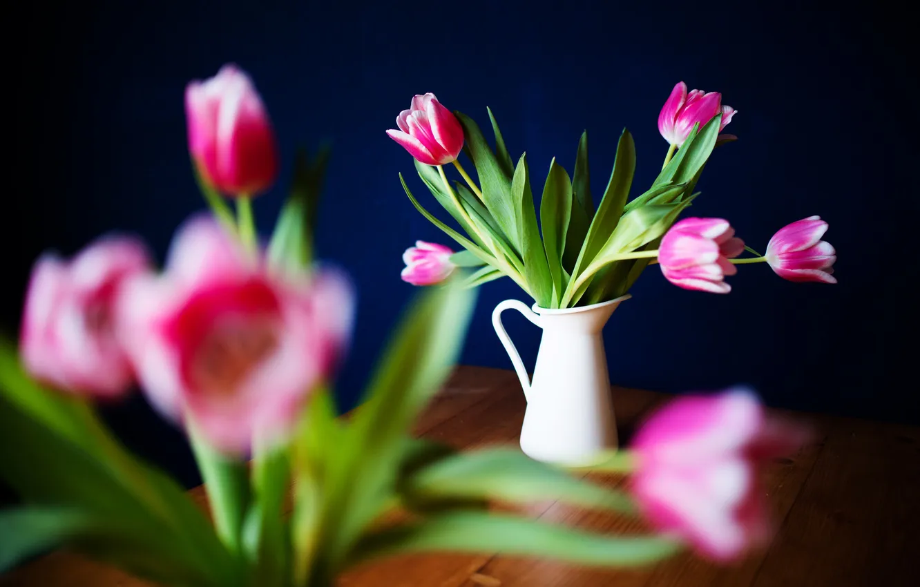 Фото обои цветы, лепестки, тюльпаны, розовые