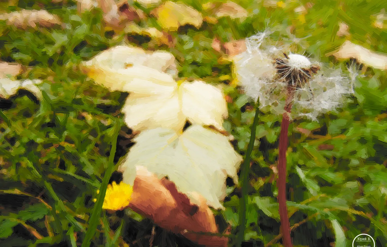 Фото обои осень, трава, листья, одуванчик, Цветы, октябрь, autumn, leaves