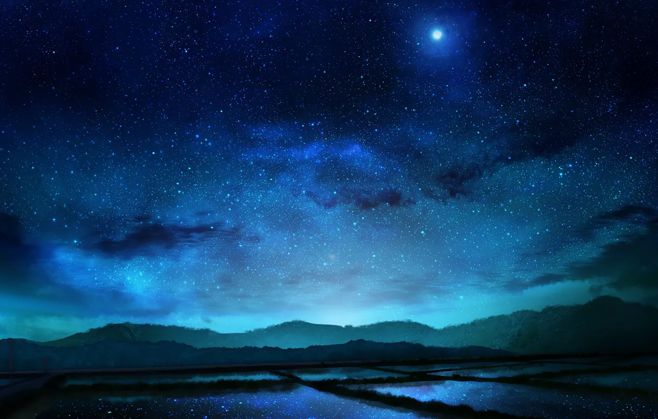 Фото обои поле, небо, звезды, ночь