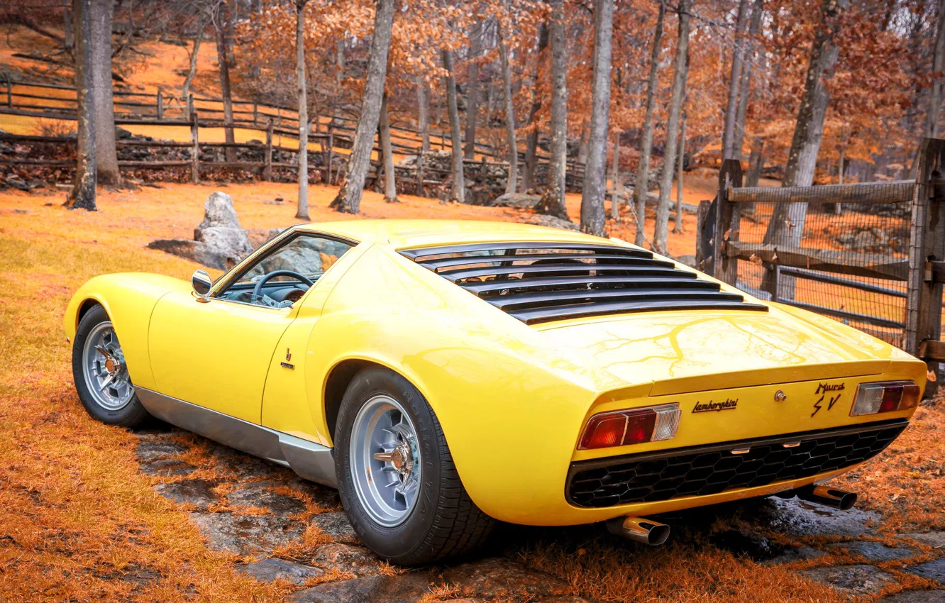 Фото обои Авто, Желтый, Lamborghini, Осень, Ретро, Машина, 1969, Автомобиль