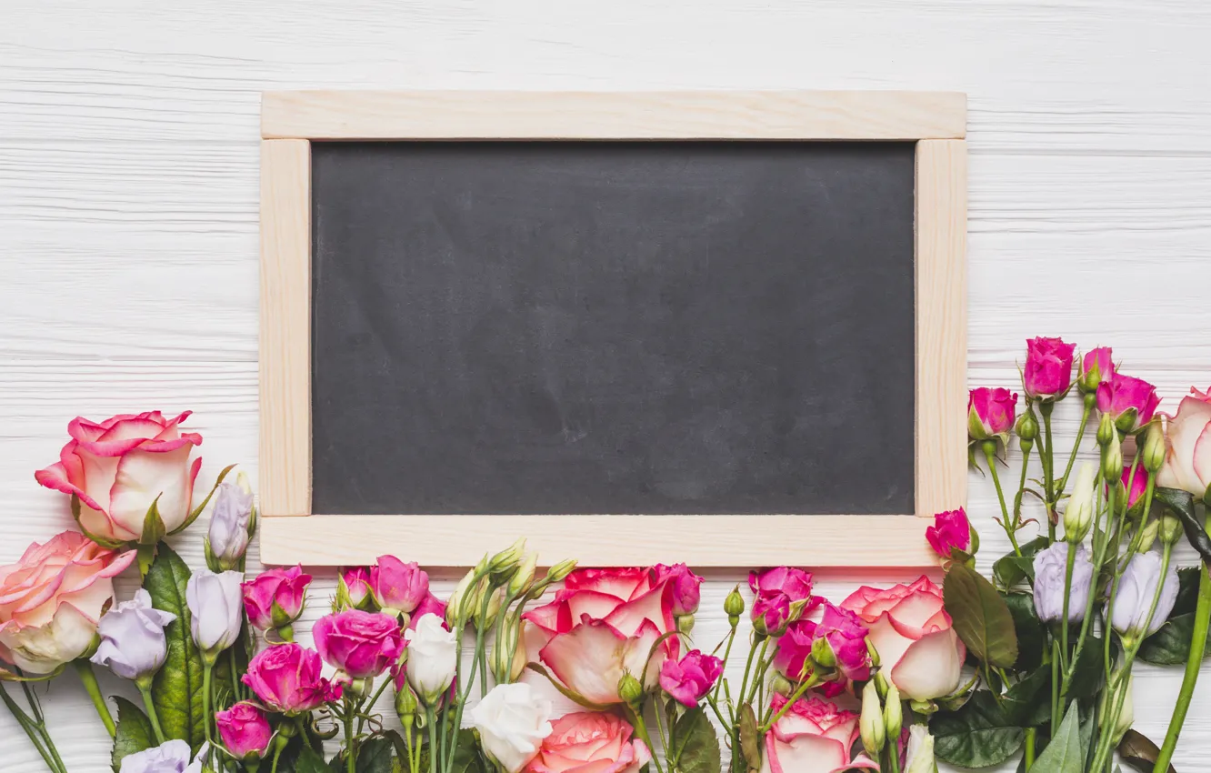 Фото обои цветы, розы, доска, розовые, бутоны, wood, pink, flowers