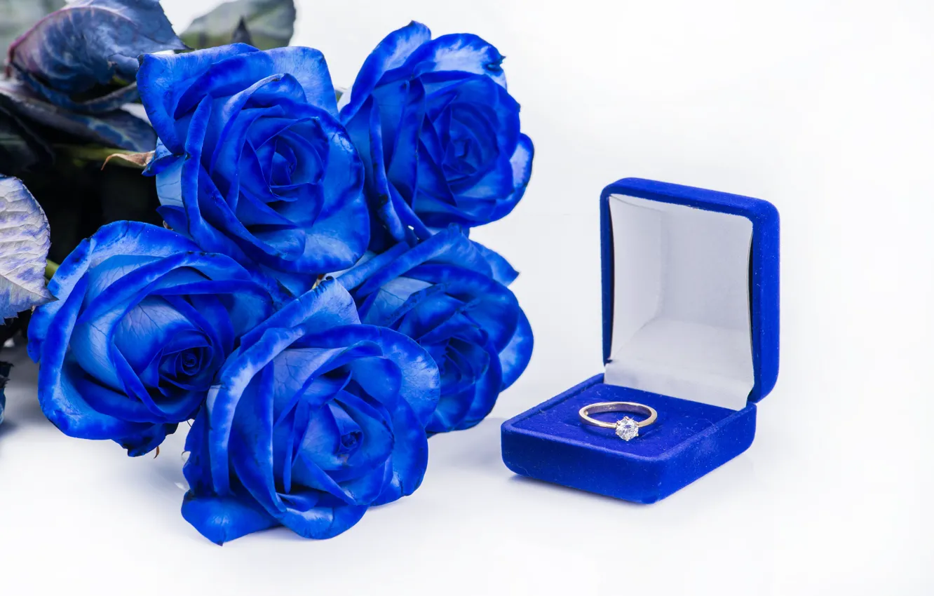 Фото обои праздник, розы, кольцо, голубые, love, rose, свадьба, diamond