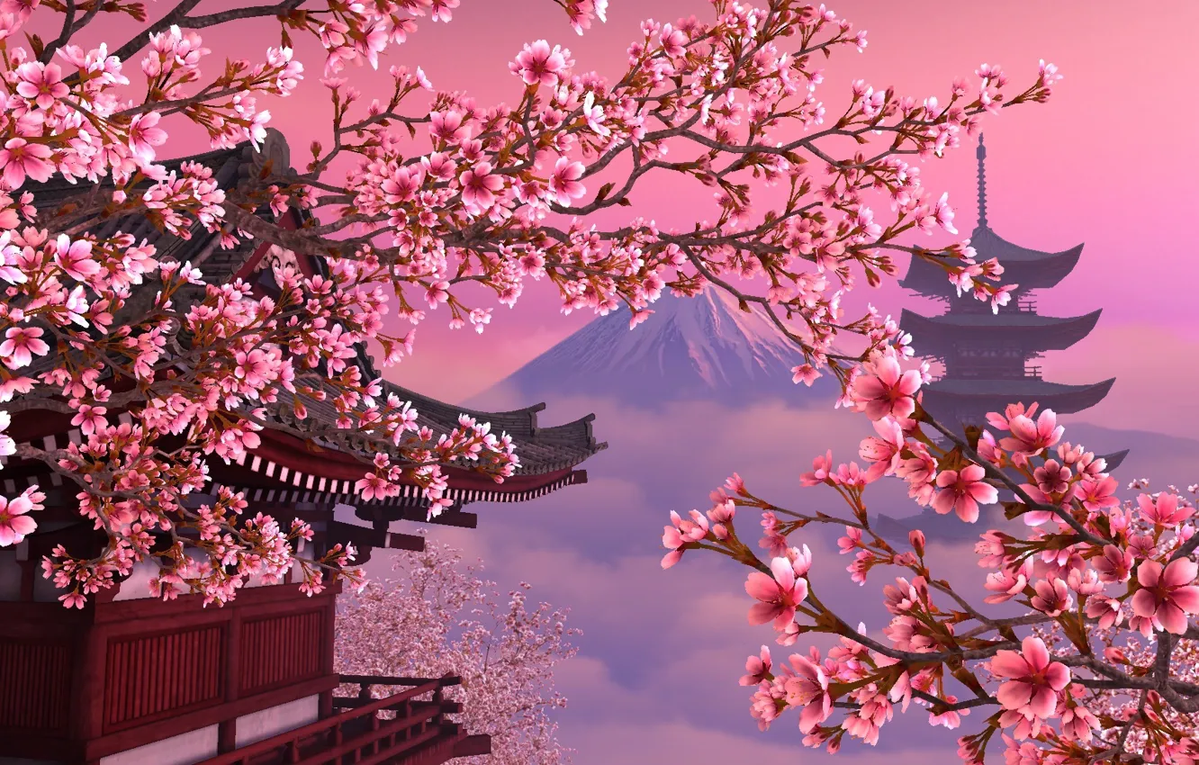 Фото обои япония, сакура, розовое, красиво