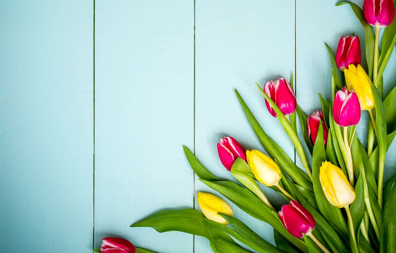Фото обои цветы, весна, colorful, тюльпаны, yellow, wood, pink, flowers