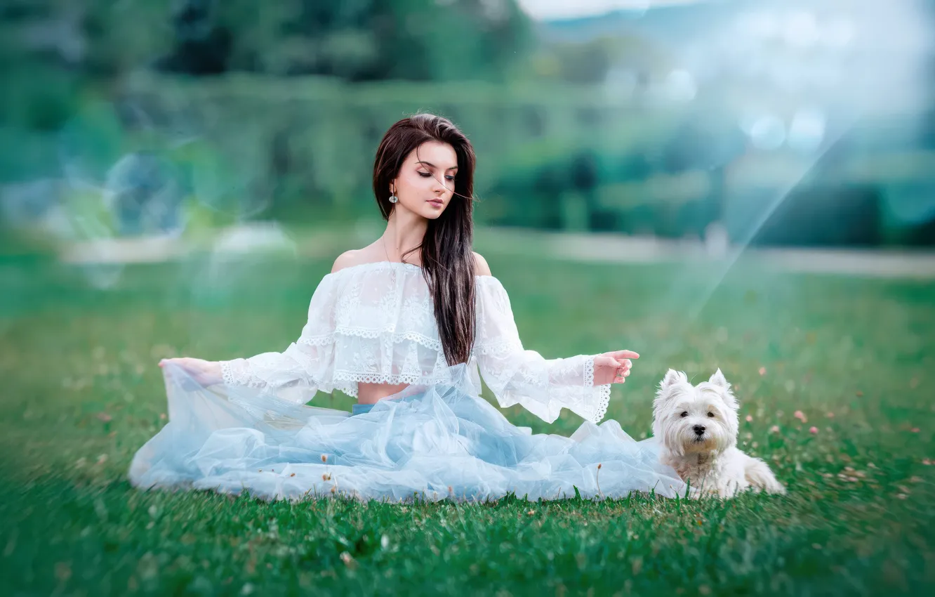 Фото обои white, grass, woman, dog