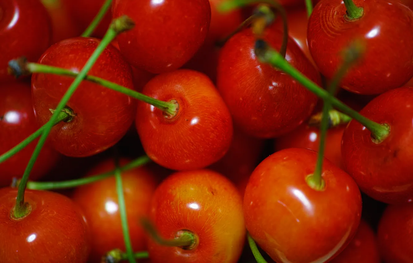 Фото обои макро, красный, ягоды, плоды, фрукты, черешня