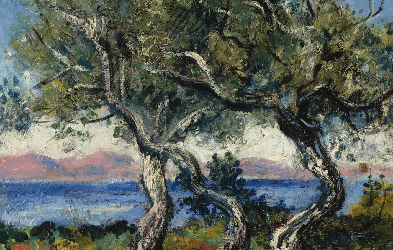 Фото обои пейзаж, картина, Francis Picabia, Франсис Пикабиа, Оливковые Деревья