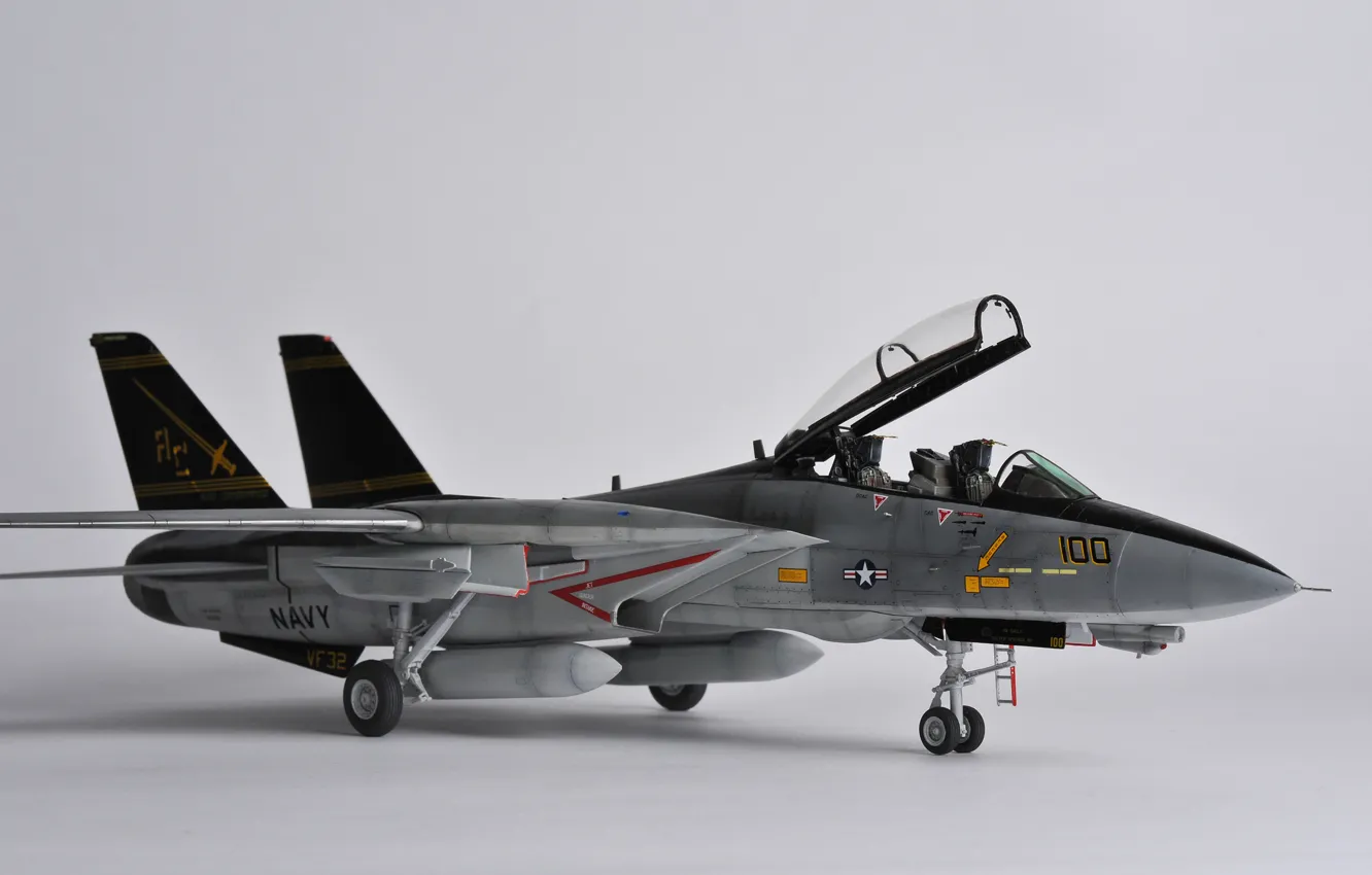 Фото обои игрушка, истребитель, реактивный, Tomcat, двухместный, моделька, Grumman F-14, «Томкэт»