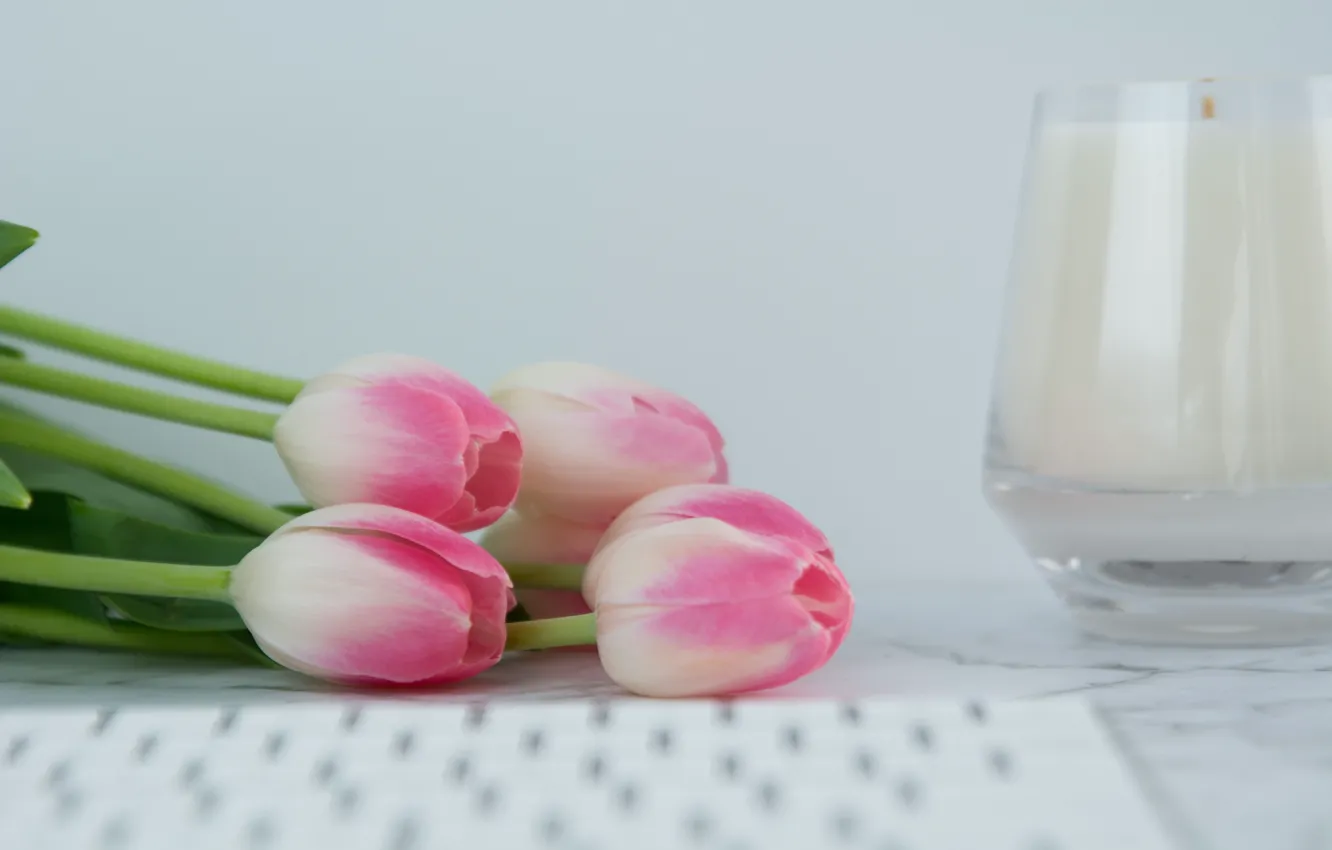 Фото обои свеча, тюльпаны, клавиатура, pink, flowers, tulips, tender