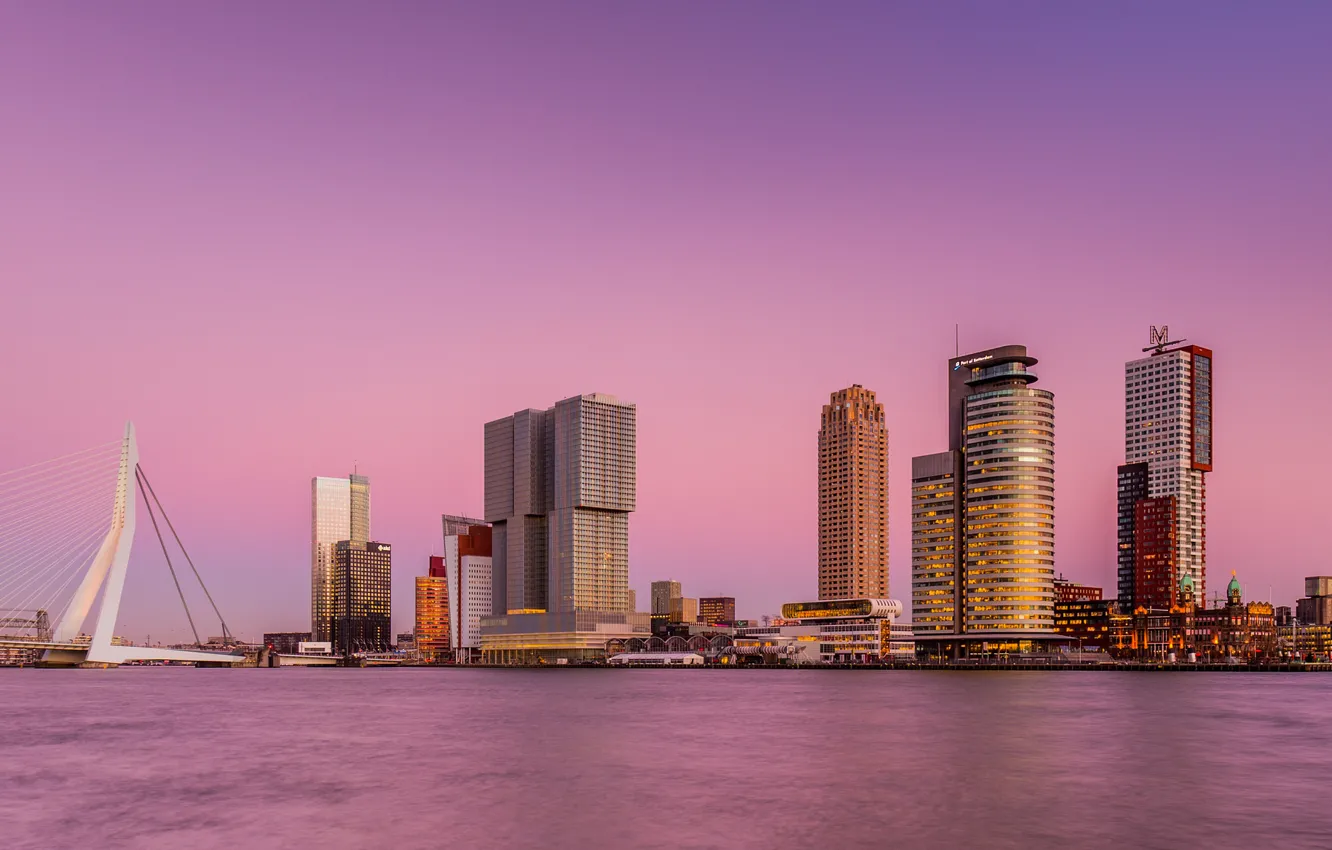 Фото обои небо, мост, город, река, небоскребы, розовое, Нидерланды, Роттердам