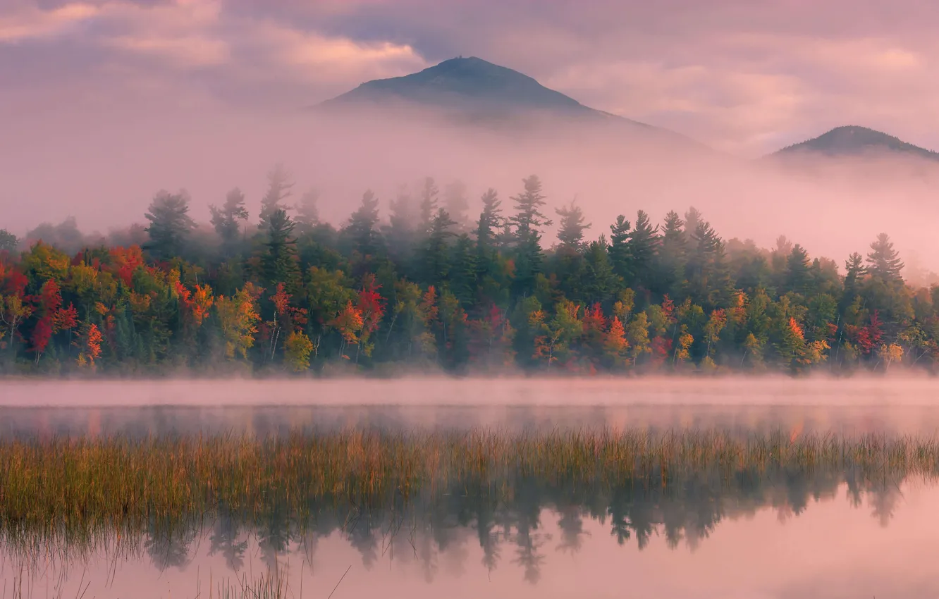 Фото обои осень, деревья, горы, туман, США, штат Нью-Йорк