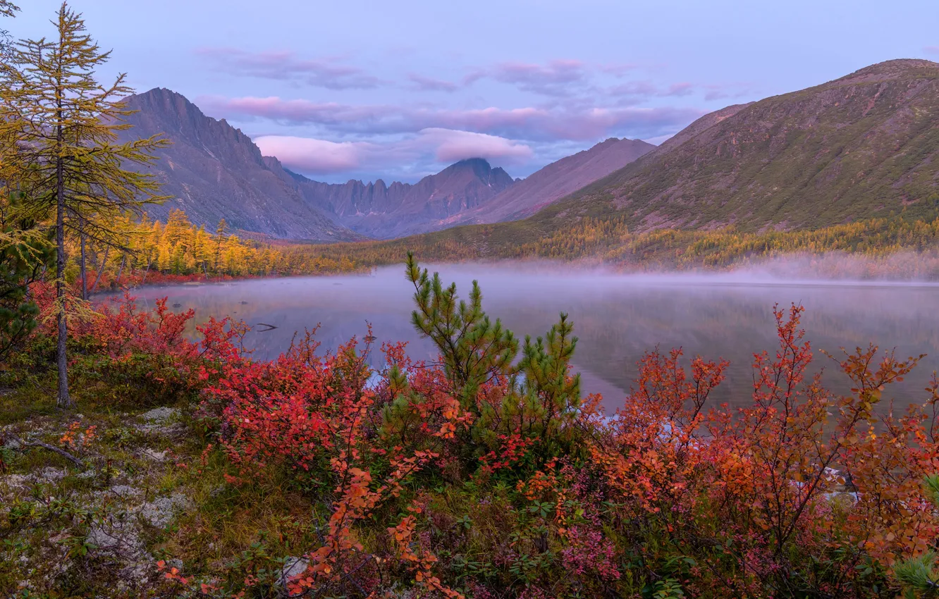 Фото обои осень, облака, деревья, пейзаж, горы, природа, туман, рассвет