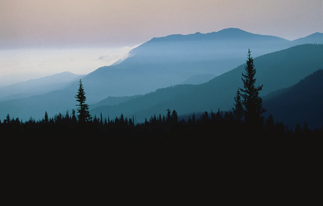 Фото обои лес, небо, деревья, закат, горы, природа, туман, скалы