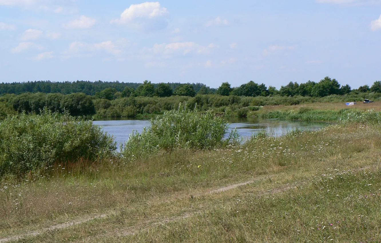 Фото обои зелень, небо, вода, облака, река, день, Беларусь, моё фото