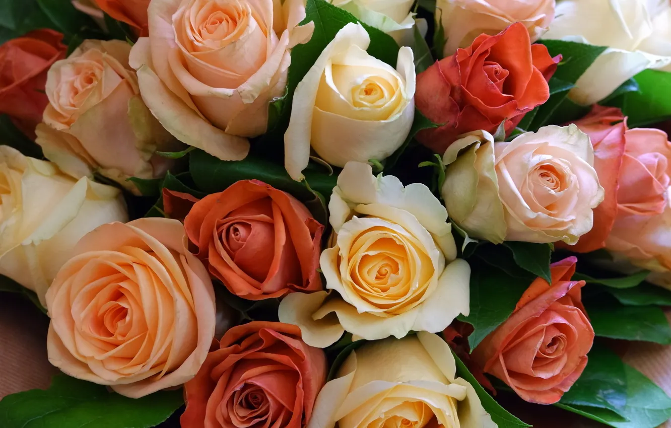 Фото обои розы, букет, бутоны, разное