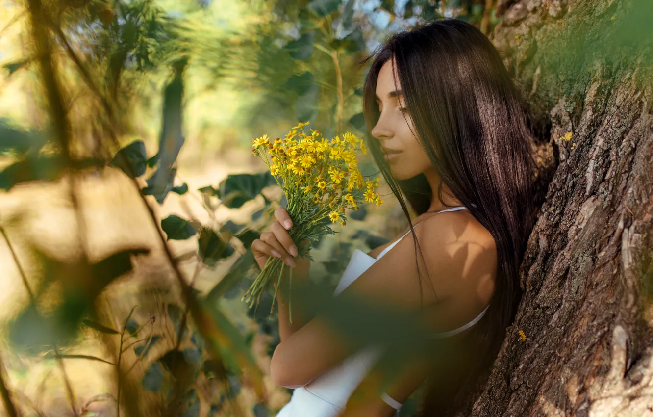 Фото обои листья, девушка, природа, дерево, брюнетка, ствол, букетик, Sergey Gromov