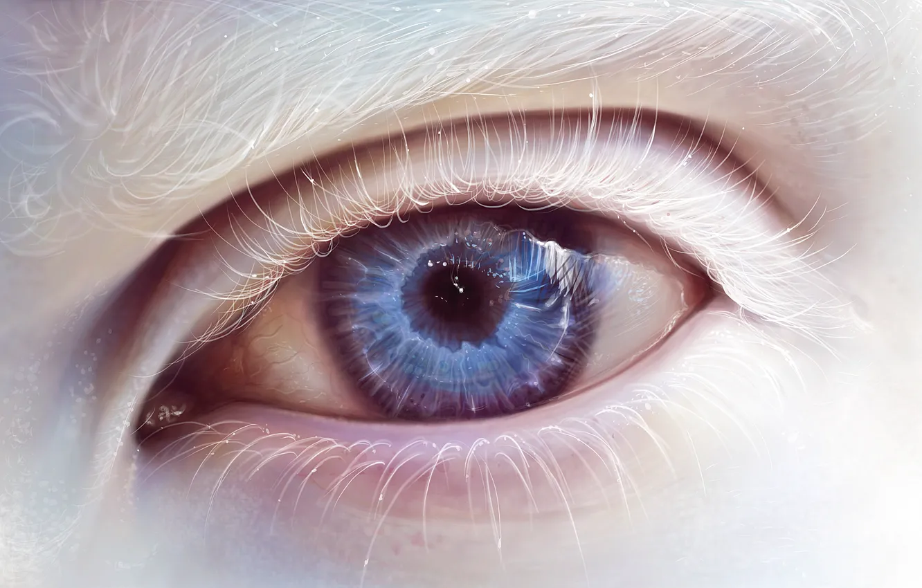 Фото обои глаз, ресницы, арт, альбинос