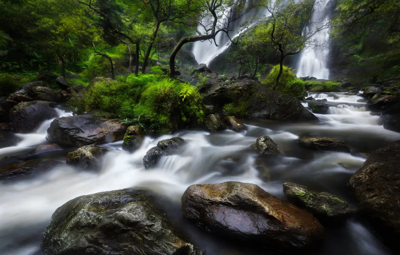 Фото обои лес, деревья, скала, река, камни, водопад, поток