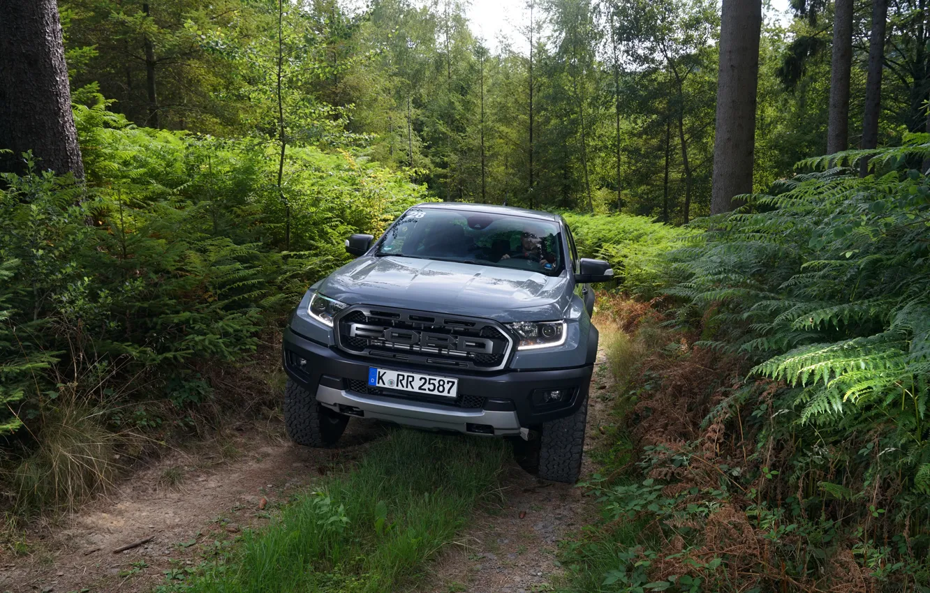 Фото обои серый, Ford, Raptor, пикап, Ranger, лесная дорога, 2019