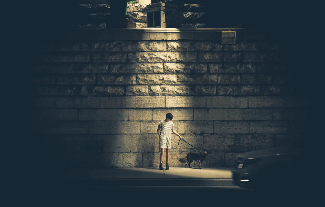 Фото обои light, girl, wall, woman, dog, glow, street, halo