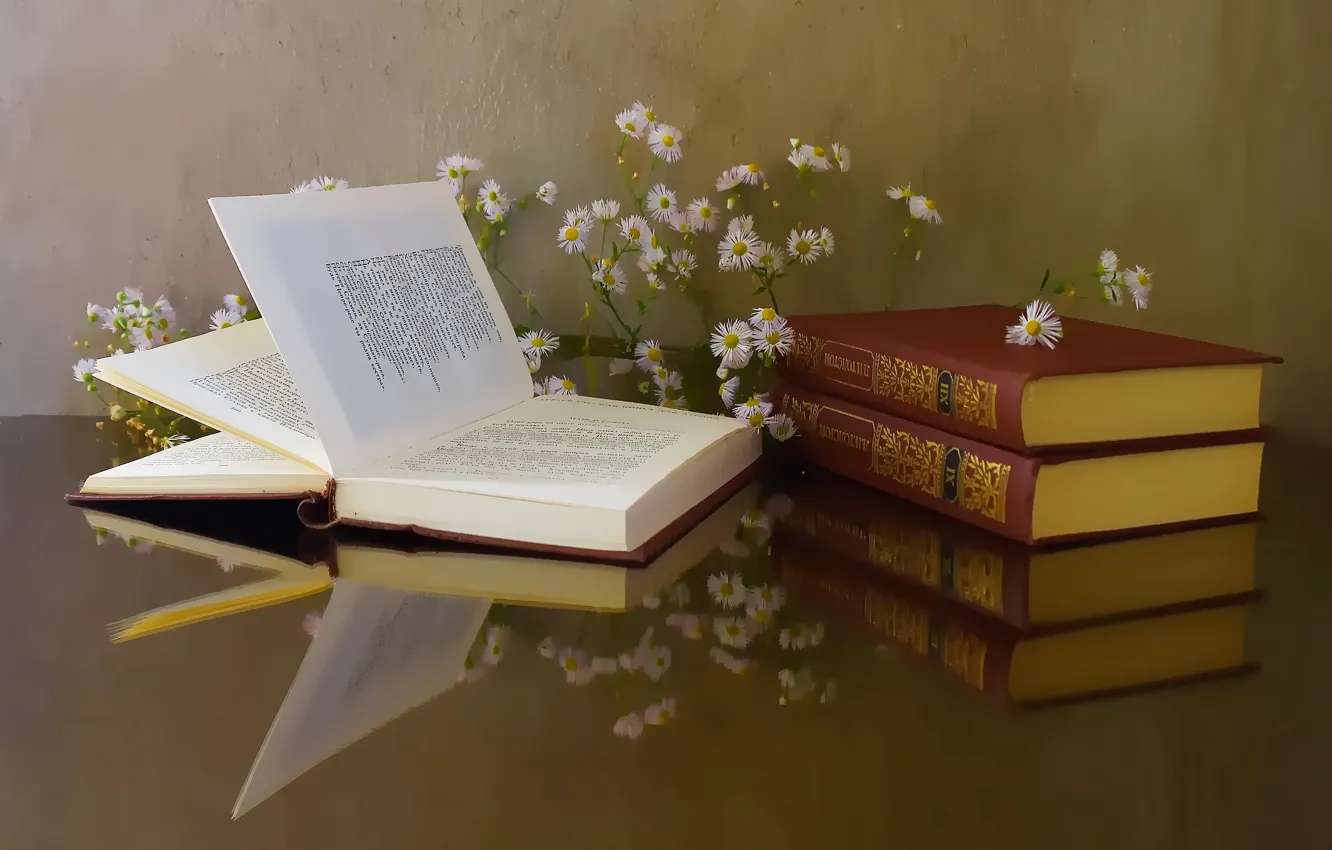 Фото обои книга, библиотека, натюрморт