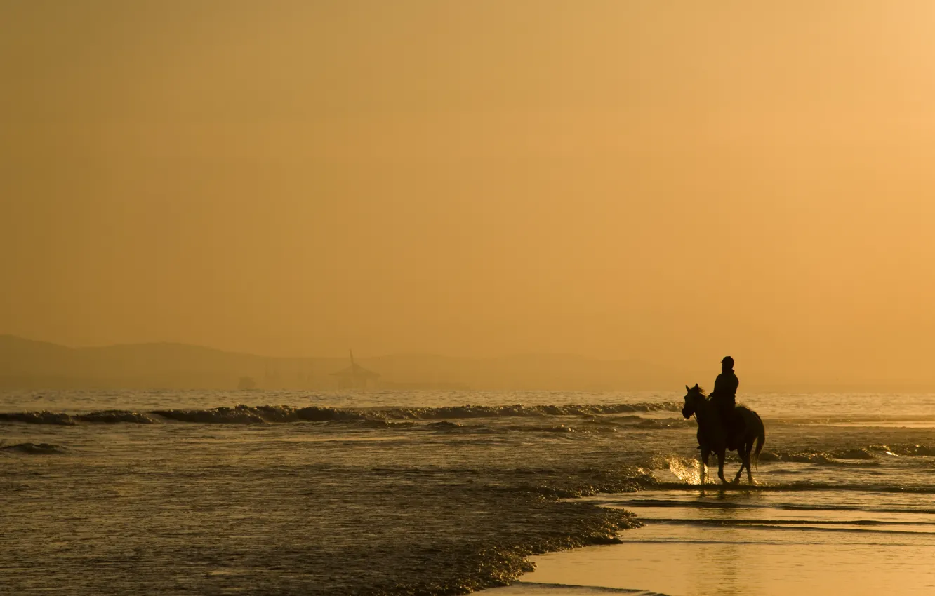 Фото обои песок, море, животные, вода, люди, океан, конь, берег