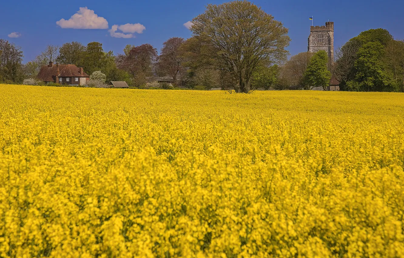 Фото обои поле, United Kingdom, Kent, Aldington