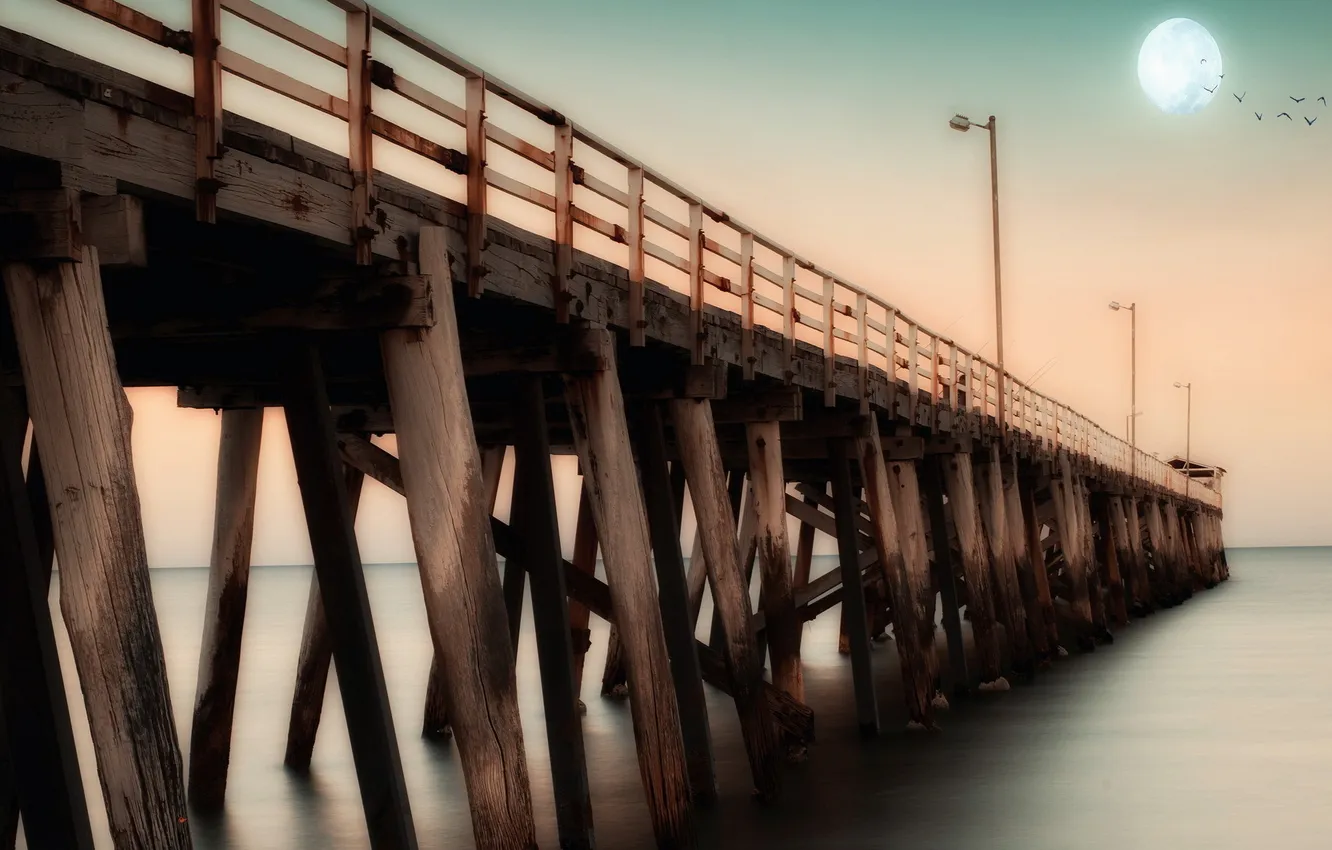 Фото обои море, мост, Australia, South Australia, Adelaide, Brighton