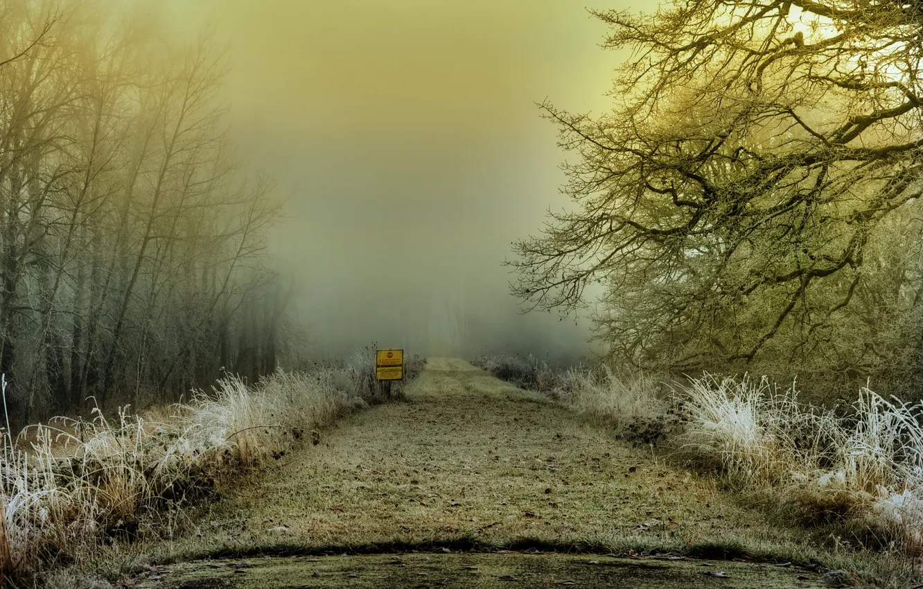 Фото обои дорога, пейзаж, туман