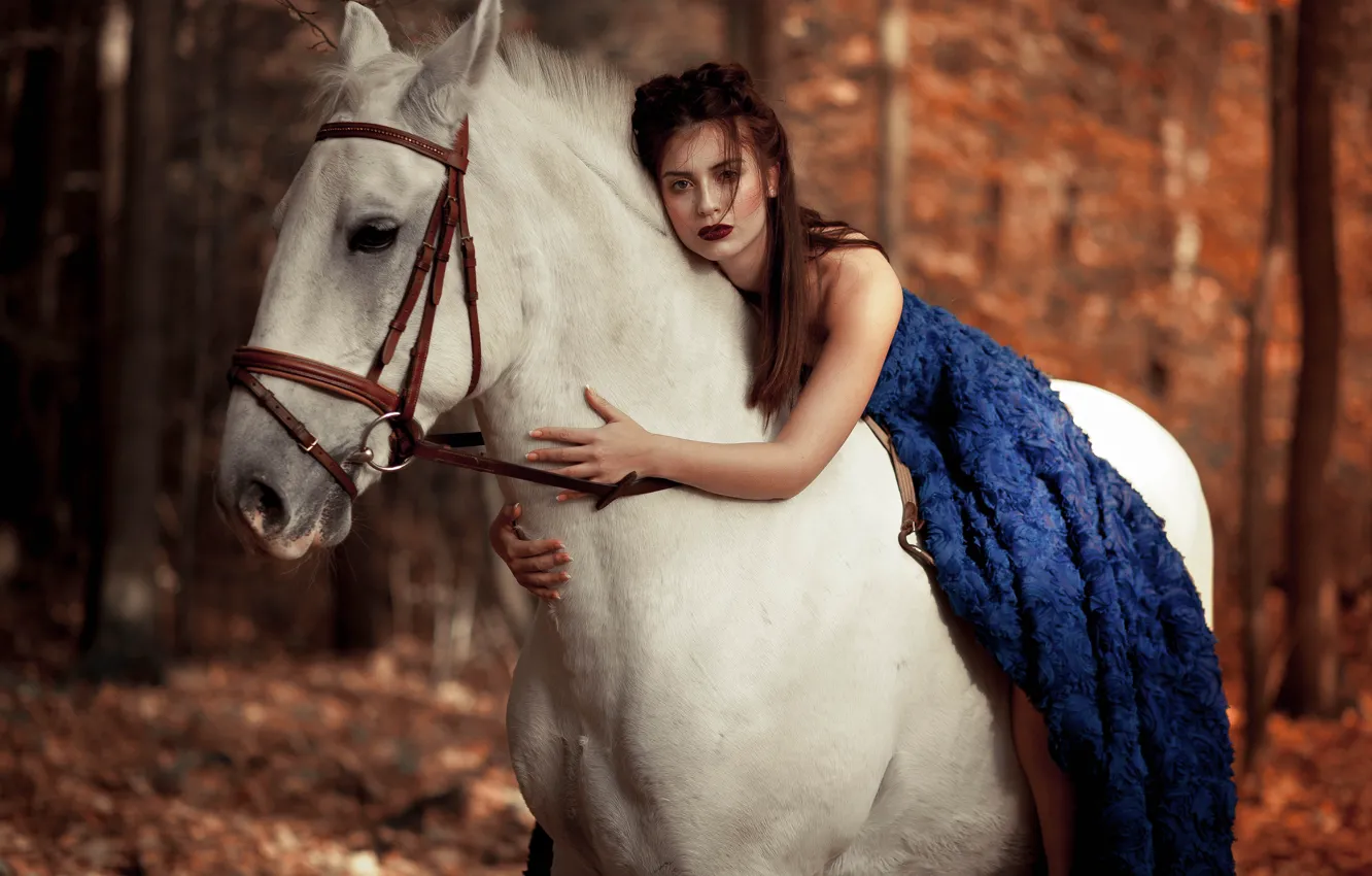 Фото обои взгляд, девушка, настроение, конь, лошадь, платье, боке