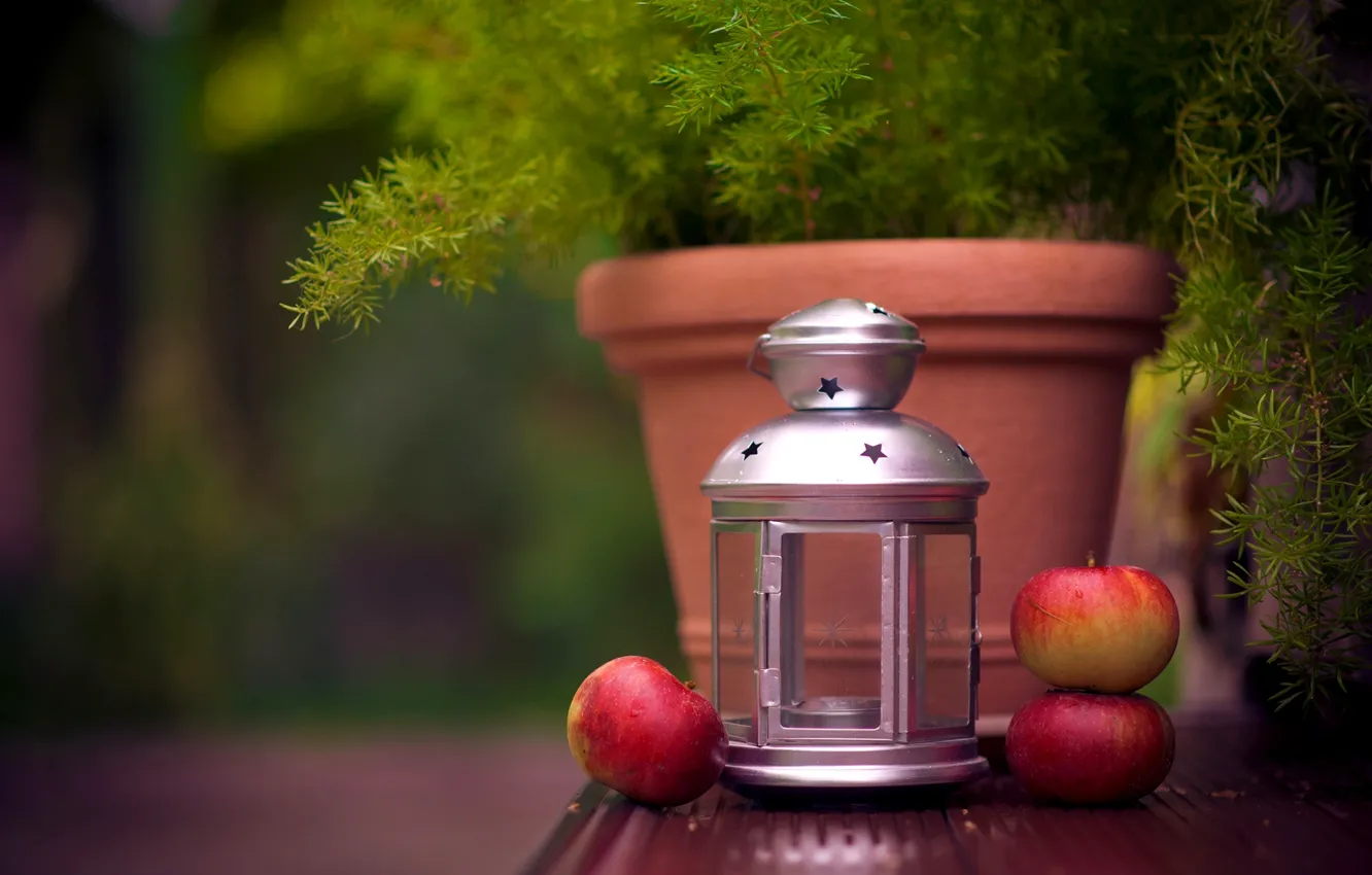 Фото обои яблоки, растение, свеча, фонарик, фонарь, фрукты, вазон, Ikea